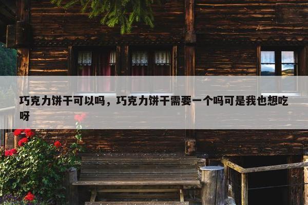 巧克力饼干可以吗，巧克力饼干需要一个吗可是我也想吃呀