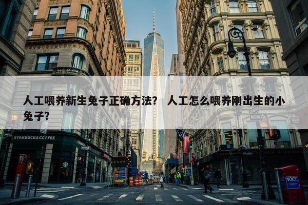 人工喂养新生兔子正确方法？ 人工怎么喂养刚出生的小兔子？
