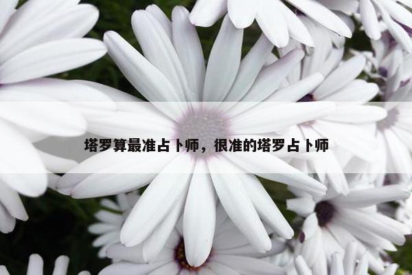 塔罗算最准占卜师，很准的塔罗占卜师