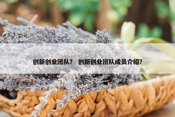 创新创业团队？ 创新创业团队成员介绍？