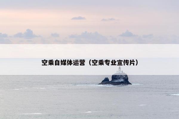 空乘自媒体运营（空乘专业宣传片）