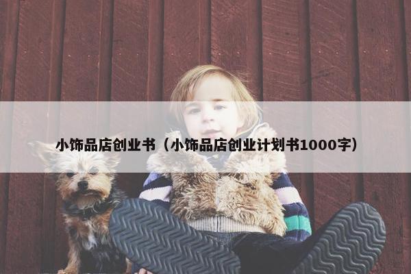 小饰品店创业书（小饰品店创业计划书1000字）