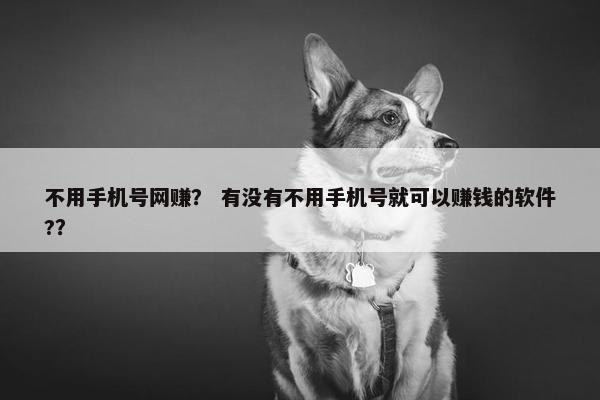 不用手机号网赚？ 有没有不用手机号就可以赚钱的软件?？