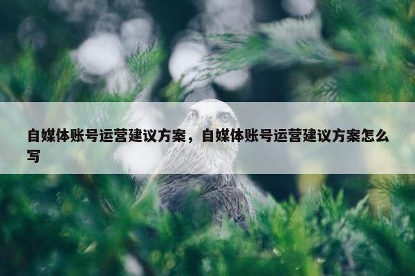 自媒体账号运营建议方案，自媒体账号运营建议方案怎么写