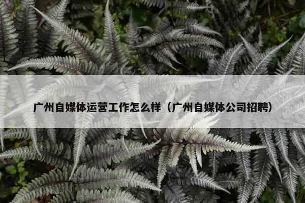 广州自媒体运营工作怎么样（广州自媒体公司招聘）