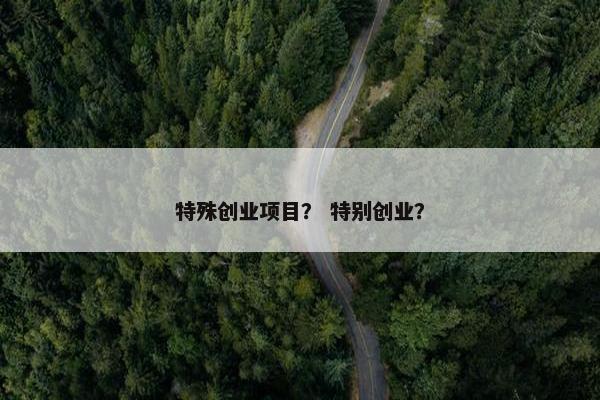 特殊创业项目？ 特别创业？
