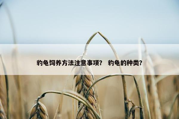 豹龟饲养方法注意事项？ 豹龟的种类？