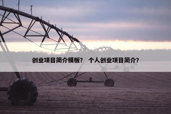 创业项目简介模板？ 个人创业项目简介？