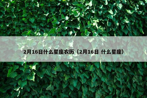 2月16日什么星座农历（2月16日 什么星座）