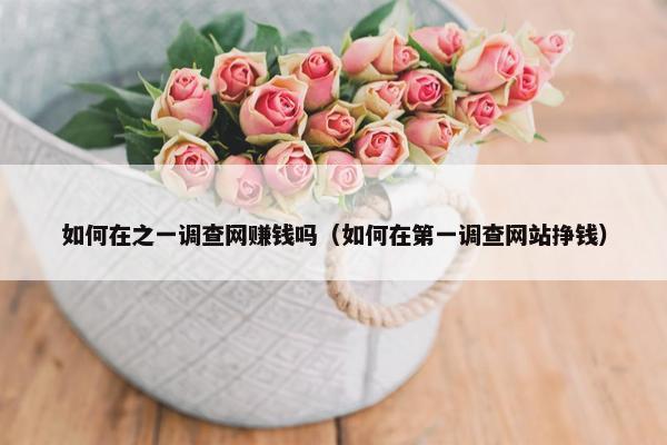 如何在之一调查网赚钱吗（如何在第一调查网站挣钱）