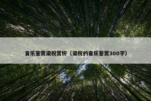 音乐鉴赏梁祝赏析（梁祝的音乐鉴赏300字）
