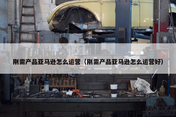刚需产品亚马逊怎么运营（刚需产品亚马逊怎么运营好）