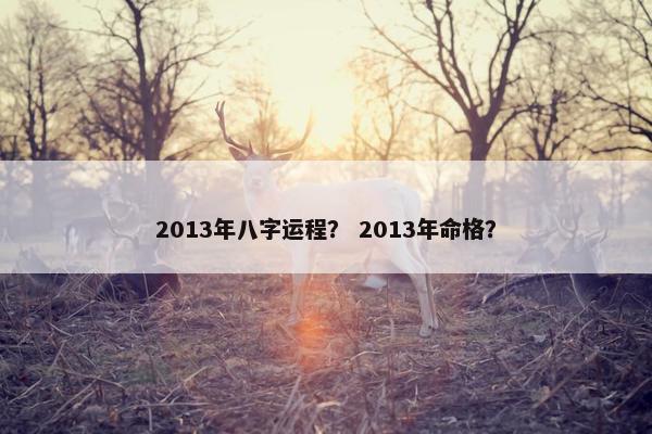 2013年八字运程？ 2013年命格？