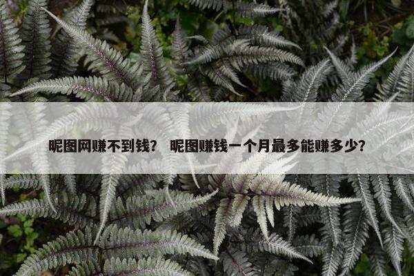 昵图网赚不到钱？ 昵图赚钱一个月最多能赚多少？