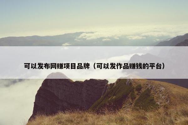 可以发布网赚项目品牌（可以发作品赚钱的平台）