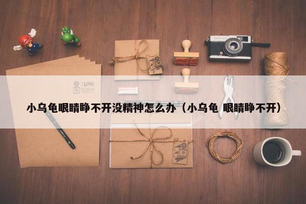 小乌龟眼睛睁不开没精神怎么办（小乌龟 眼睛睁不开）