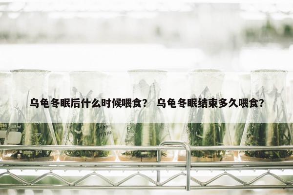 乌龟冬眠后什么时候喂食？ 乌龟冬眠结束多久喂食？