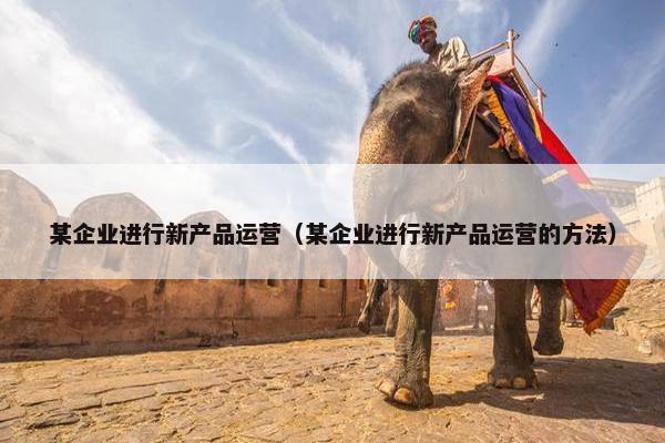 某企业进行新产品运营（某企业进行新产品运营的方法）