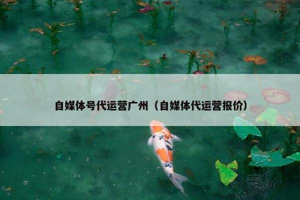 自媒体号代运营广州（自媒体代运营报价）