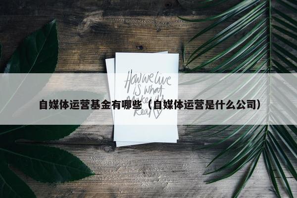 自媒体运营基金有哪些（自媒体运营是什么公司）