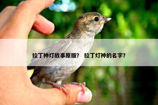 拉丁神灯故事原版？ 拉丁灯神的名字？