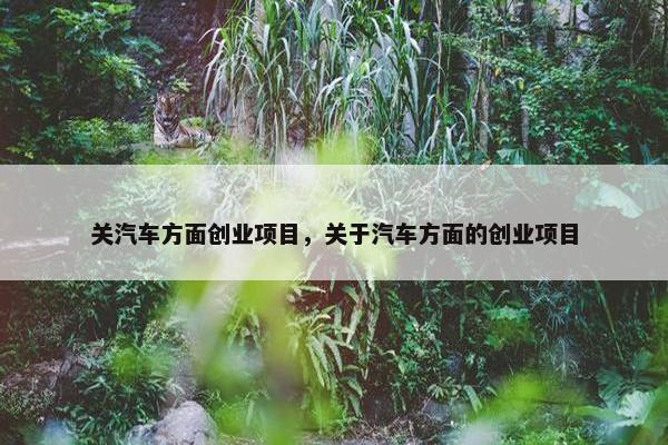 关汽车方面创业项目，关于汽车方面的创业项目