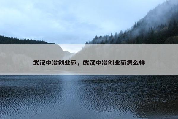 武汉中冶创业苑，武汉中冶创业苑怎么样