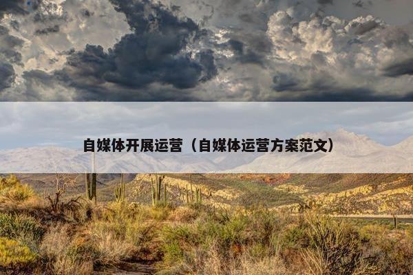 自媒体开展运营（自媒体运营方案范文）