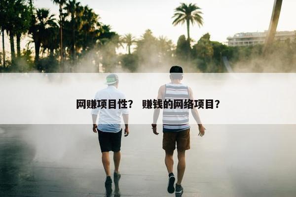 网赚项目性？ 赚钱的网络项目？