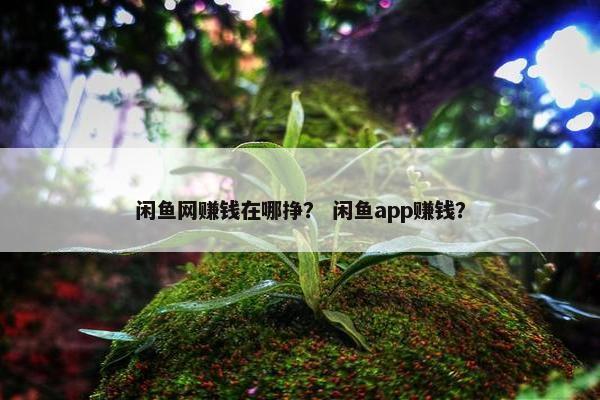 闲鱼网赚钱在哪挣？ 闲鱼app赚钱？