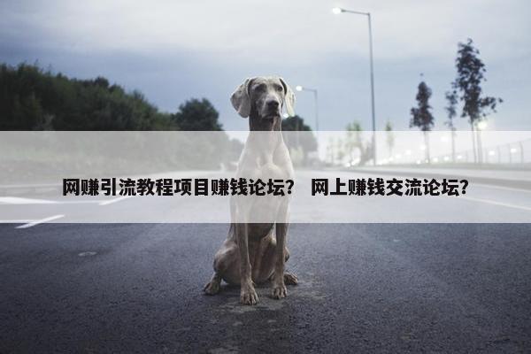 网赚引流教程项目赚钱论坛？ 网上赚钱交流论坛？