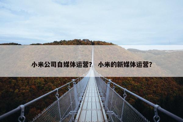 小米公司自媒体运营？ 小米的新媒体运营？