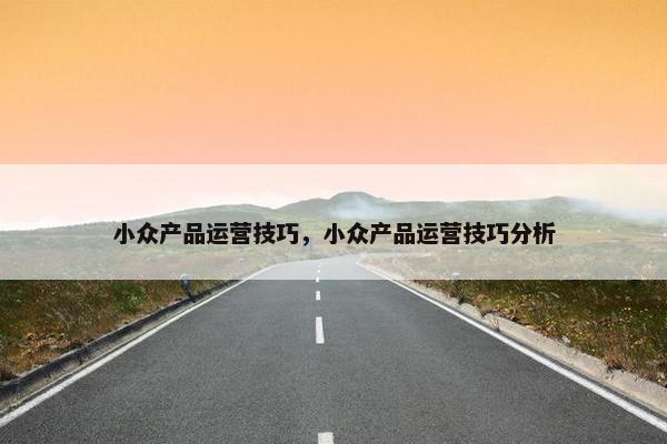 小众产品运营技巧，小众产品运营技巧分析