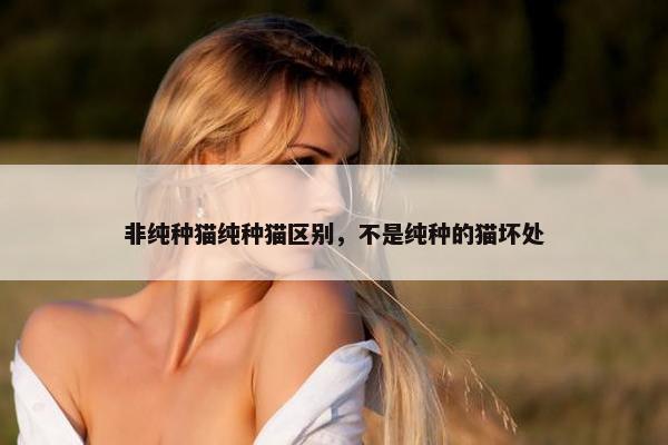 非纯种猫纯种猫区别，不是纯种的猫坏处