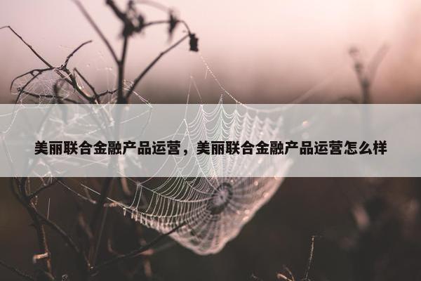 美丽联合金融产品运营，美丽联合金融产品运营怎么样