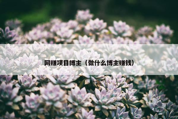 网赚项目博主（做什么博主赚钱）