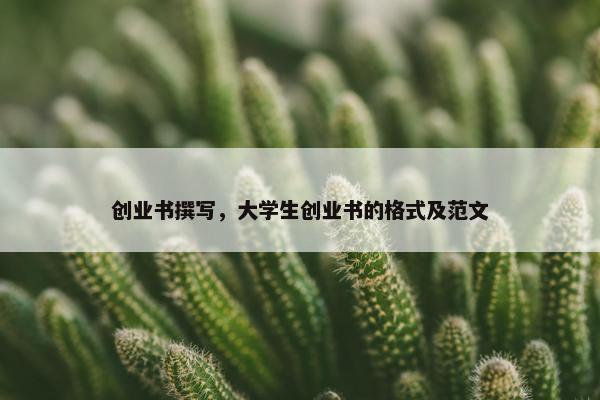 创业书撰写，大学生创业书的格式及范文