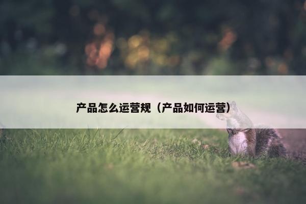 产品怎么运营规（产品如何运营）