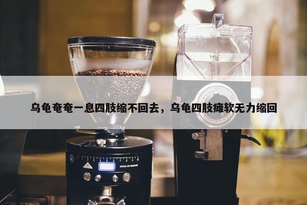 乌龟奄奄一息四肢缩不回去，乌龟四肢瘫软无力缩回