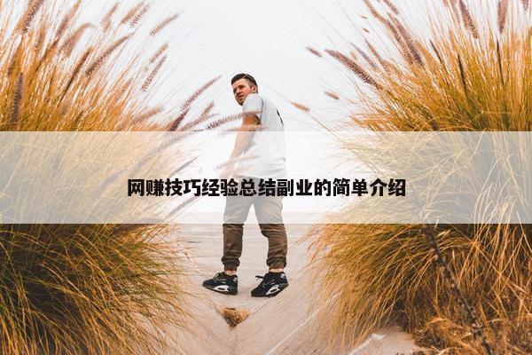 网赚技巧经验总结副业的简单介绍