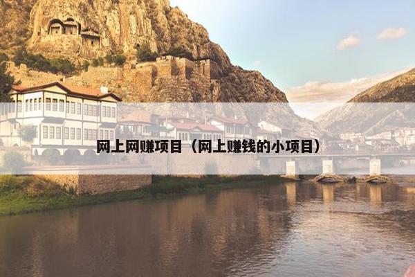 网上网赚项目（网上赚钱的小项目）