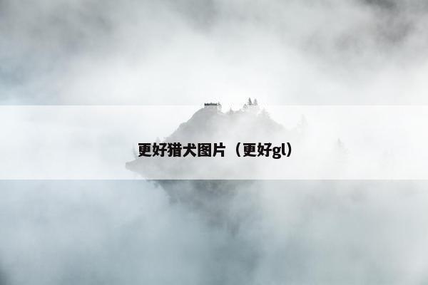 更好猎犬图片（更好gl）