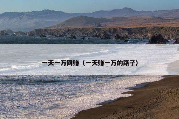一天一万网赚（一天赚一万的路子）