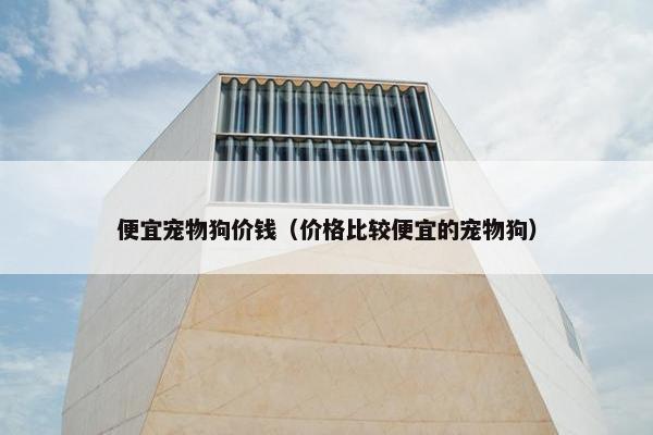 便宜宠物狗价钱（价格比较便宜的宠物狗）