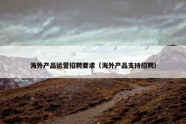 海外产品运营招聘要求（海外产品支持招聘）
