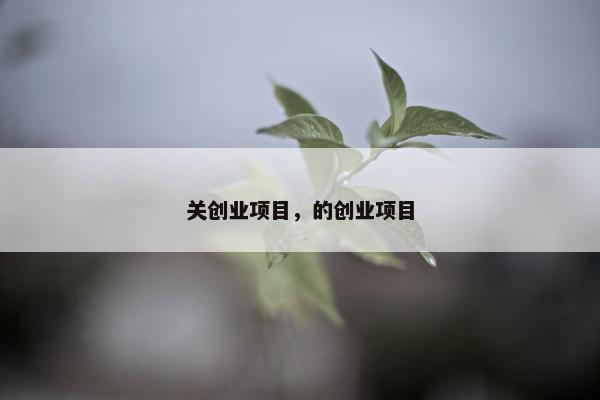 关创业项目，的创业项目
