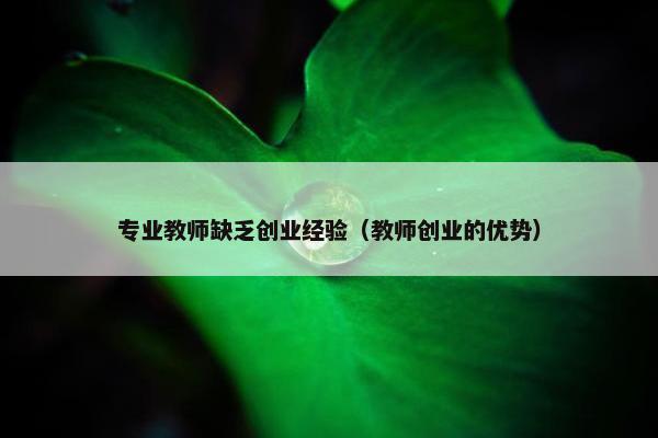 专业教师缺乏创业经验（教师创业的优势）