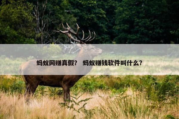 蚂蚁网赚真假？ 蚂蚁赚钱软件叫什么？