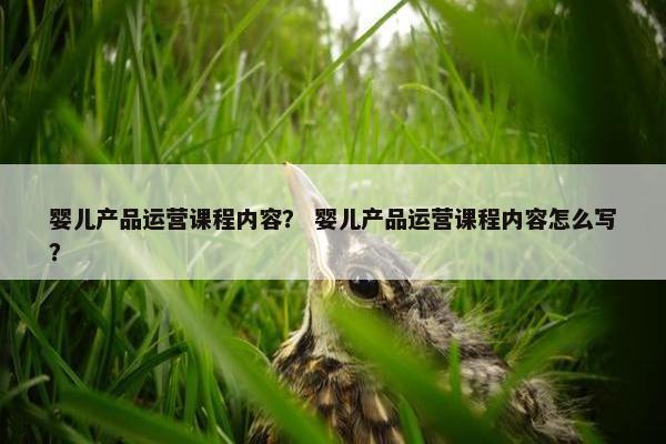 婴儿产品运营课程内容？ 婴儿产品运营课程内容怎么写？