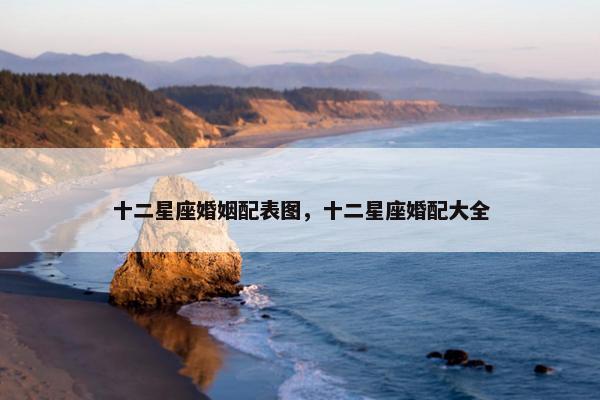 十二星座婚姻配表图，十二星座婚配大全